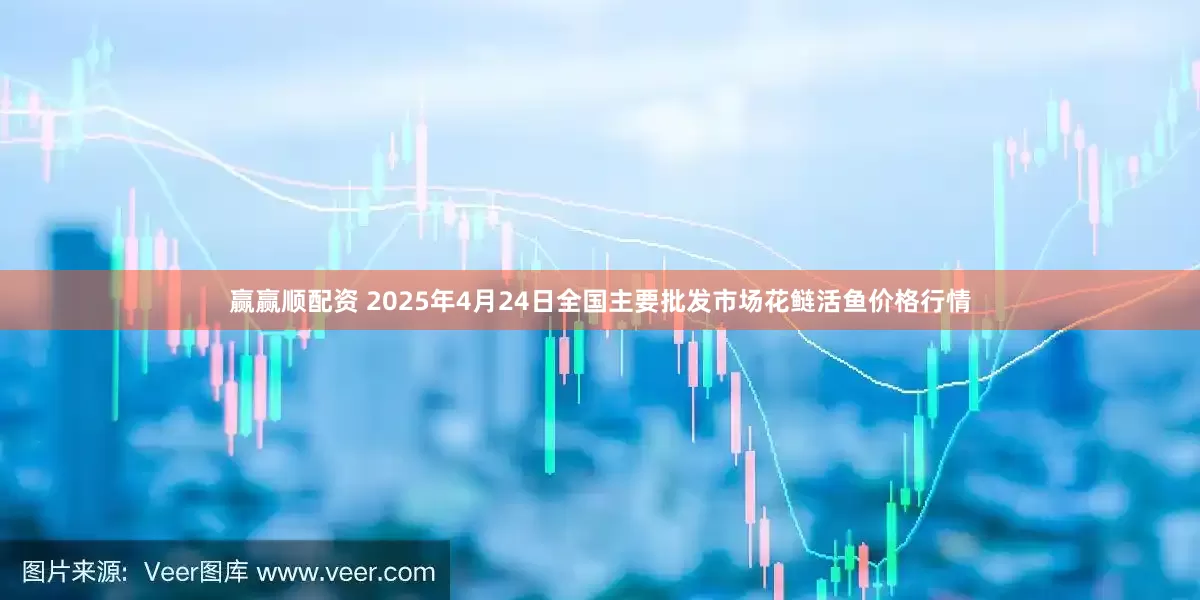 赢赢顺配资 2025年4月24日全国主要批发市场花鲢活鱼价格行情