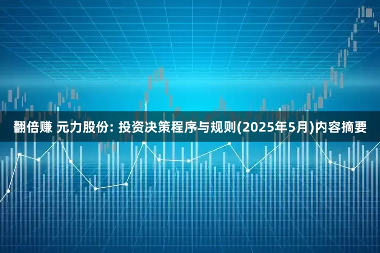 翻倍赚 元力股份: 投资决策程序与规则(2025年5月)内容摘要