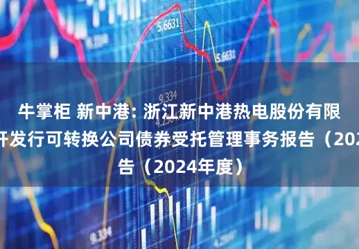 牛掌柜 新中港: 浙江新中港热电股份有限公司公开发行可转换公司债券受托管理事务报告（2024年度）