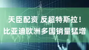 天臣配资 反超特斯拉！比亚迪欧洲多国销量猛增