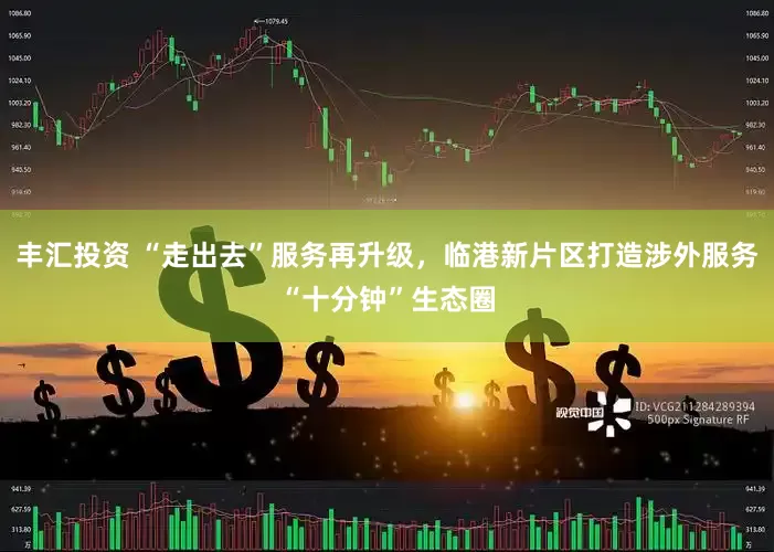 丰汇投资 “走出去”服务再升级，临港新片区打造涉外服务“十分钟”生态圈
